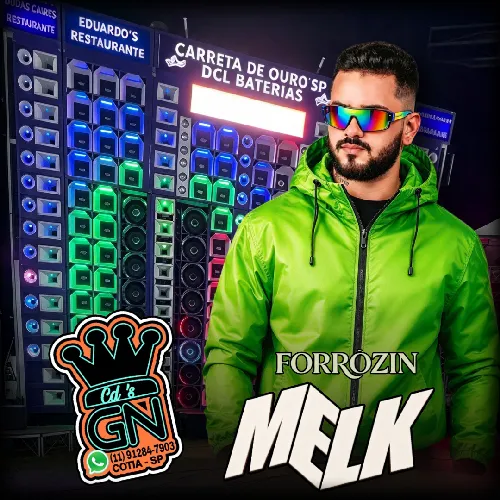 Download FORRÓZIN PRA PAREDÃO ✓ DJ MELK (G N C D S)