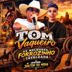 Download Forrozinho cavalgada de tom vaqueiro as melhores 2026