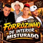 Download FORROZINHO DE INTERIOR PRA CURTIR E DANÇA PISEIRO DIFERENCIADO NOS TECLADOS
