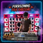 Download FORROZINHO PRA PAREDÃO - ALEX TECLADISTA GBA