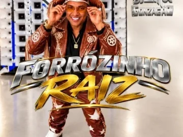 Download FORROZINHO RAIZ É PRA TOCAR NO PAREDÃO MÚSICAS INÉDITAS