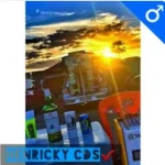 Download Francysco Afamado - BAÚ QUALIDADE MAXIMA - LENHADA REMAST TOPADO