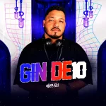 Download GIN DE 10 - DJ ALEX O BRABO