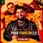 Download GORDIN PRESSÃO - CD PIQUE FORRÓZIM 2.0 - REPERTÓRIO AS MELHORES PRA PAREDÃO MAIS TOCADAS TIKTOK 2026 -