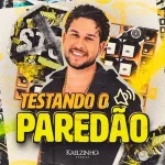 Ouvir e baixar CDs de Forró – Kaelzinho Ferraz - TESTANDO O PAREDÃO Download Kaelzinho Ferraz - TESTANDO O PAREDÃO