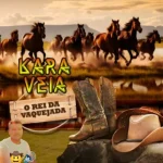 Ouvir e baixar CDs de Forró – Kara véia o rei da vaquejada Download Kara véia o rei da vaquejada