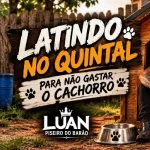 Download LATINDO NO QUINTAL PRA NÃO GASTAR O CACHORRO E AS PESSOAS ME PEDINDO PIX / Luan piseiro do barão