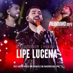 Download LIPE LUCENA AO VIVO EM MORENO PE 98 ANOS