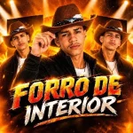 Download LUAN TECLAS NOVO CD FORRÓ DE INTERIOR