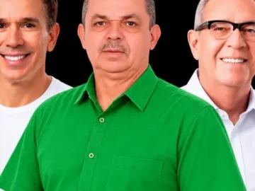 Download MATUTO FOLIA