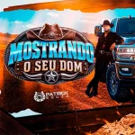 Download Mostrando o Seu Dom-Patrick Souza