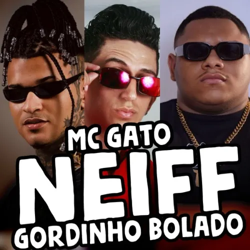 Download NEIFF GORDINHO BOLADO MC GATO AS MELHORES BREGA FUNK TIKTOK