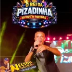 Download O REI DA PIZADINHA AO VIVO NO PAREDÃO