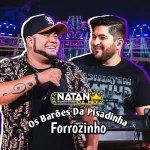 Ouvir e baixar CDs de Forró – OS BARÕES DA PISADINHA - DJ RAYLLAN FORROZINHO PRA TOCAR NO PAREDÃO • NATAN DA MIDIA Download OS BARÕES DA PISADINHA - DJ RAYLLAN FORROZINHO PRA TOCAR NO PAREDÃO • NATAN DA MIDIA