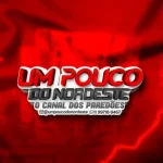 Download PEGADA MIX - CD NOVO - PRA PAREDÃO - REMASTERIZADO 2026 - MÚSICAS NOVAS
