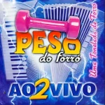 Download Peso do Forró - Vol.02 - Uma Tonelada de Forró