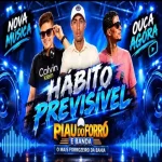 Download PIAU DO FORRÓ