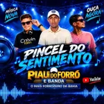 Download PIAU DO FORRÓ E BANDA