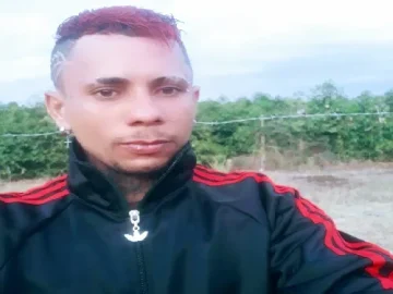 Download pintadinho