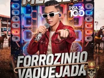 Download PISADA SEM LIMITE MEDLEY FORROZINHO VAQUEJADA EWERTHYNHO DIVULGAÇÕES