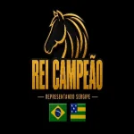 Download Rei Campeão Toada | JM Vaqueiro