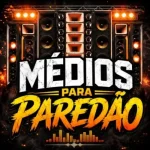 Download REY VAQUEIRO EM MIGUEL ALVES PI REPERTORIO NOVO MÉDIOS PAREDÃO 2026
