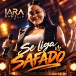 Download Se liga safado