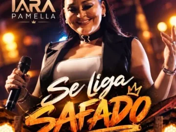 Ouvir e baixar CDs de Forró – Se liga safado Download Se liga safado