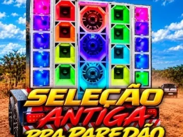 Download SELEÇÃO 12.0 FORRÓ ANTIGO PEDAL E CAIXA PRA PAREDÃO FRANGO CDS