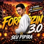Ouvir e baixar CDs de Forró – Seu Pipira Forrozin 3 Download Seu Pipira Forrozin 3