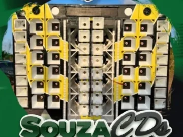 Download SWINGUEIRA PAREDAO - MEDIOS - ALTA QUALIDADE