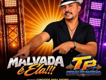 Download TIOZÃO DO PAREDÃO - MALVADA É ELA - 2027