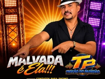 Download Tiozinhão do Paredão - Malvada é Ela 2027