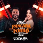 Download Uma Pancada de Forró - REIDOSOMAUTOMOTIVO