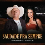 Download Vilões do Forró e Tony Baldock, Natalya Dourado - Saudade Pra Sempre